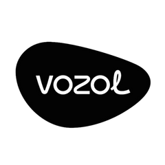 Collection image for: VOZOL RAVE 40K