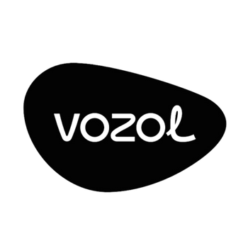 VOZOL RAVE 40K